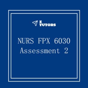 NURS FPX 6030 assessment 2