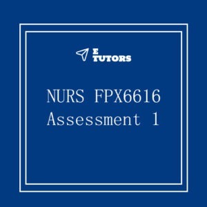 NURS FPX 6616 Assessment 1