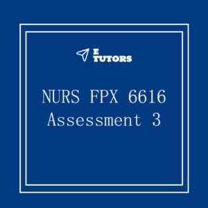 NURS FPX 6616 Assessment 3